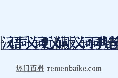汉语同义词近义词反义词词典造句是什么意思的图片